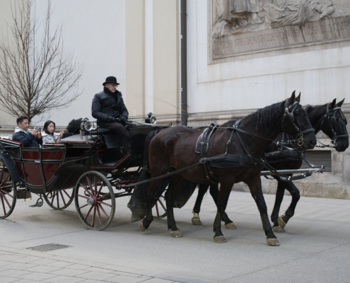 Wiener Pferdekutsche mit Touristen