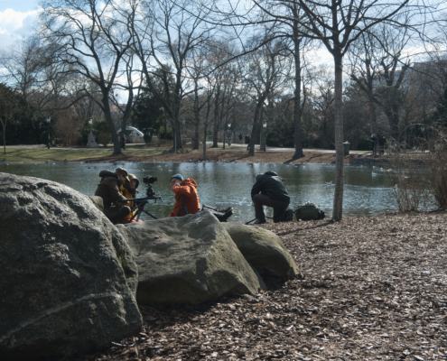 Videographen im Stadtpark