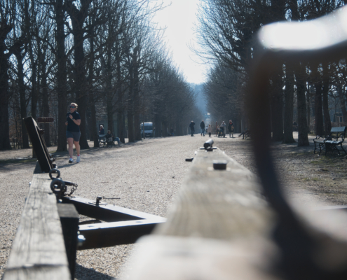 Allee beim Schlosspark