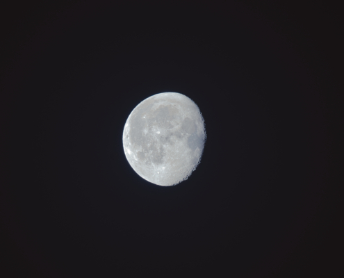 Mond