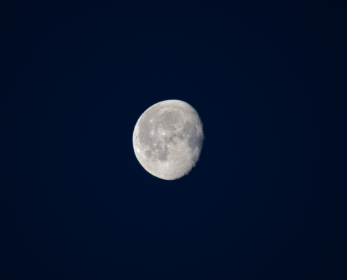 Mond
