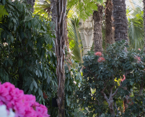 Palmenhaus von innen mit Blumen im Vordergrund