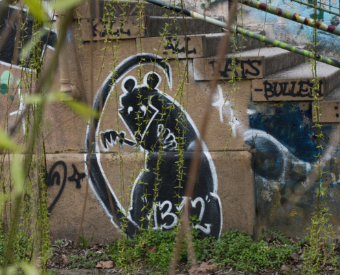 Grafiti mit Ratte bei Treppen hinter hängenden Baumästen.